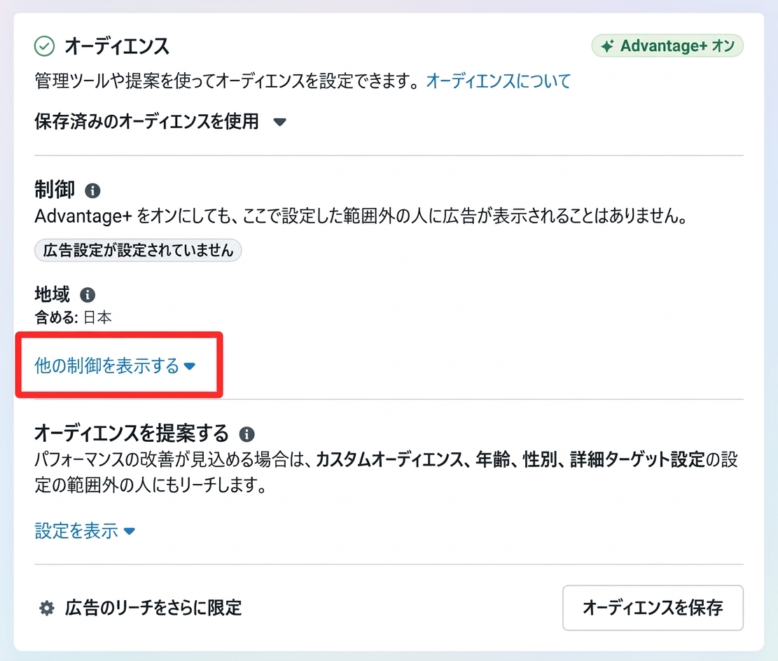 Meta広告のオーディエンス設定画面で詳細なターゲティング設定を確認する様子